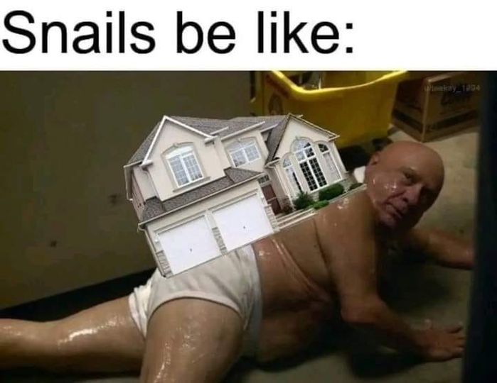 [Image: GEXZSLzWkAAefPu?format=jpg&name=900x900]