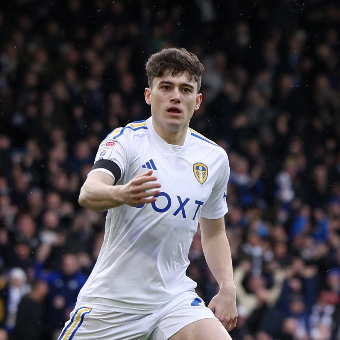 Leeds United tweet media