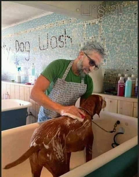 همدرد خوستوال (@hmdrdkhwstwal) on Twitter photo 