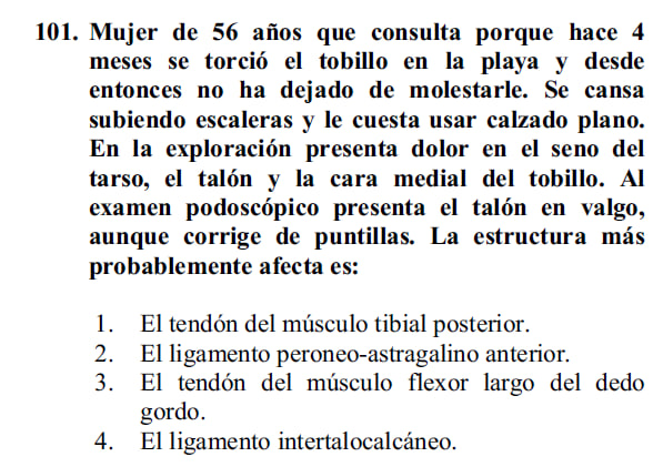 Cris Ojeda-Thies tweet media