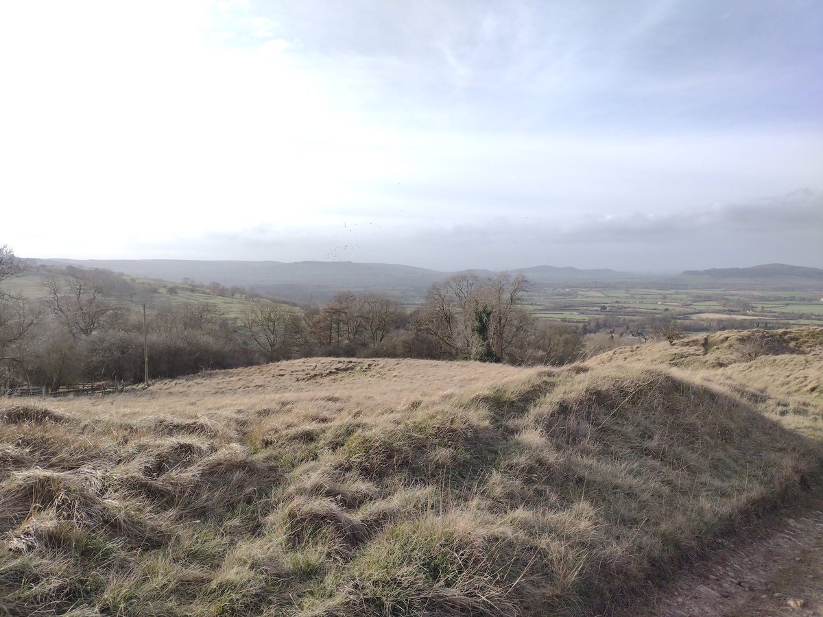 Oxon Weekend Walkers tweet media