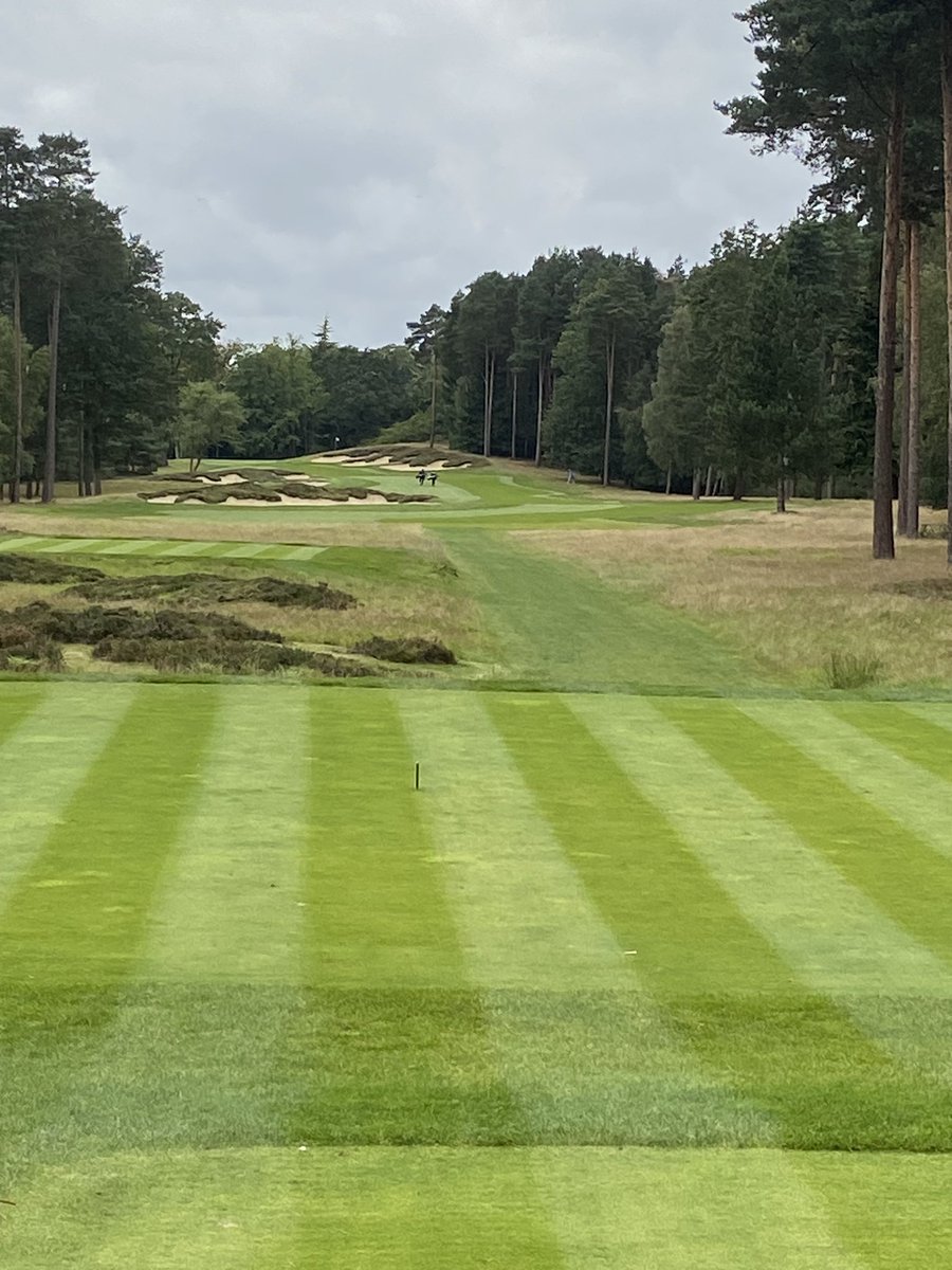 bigadds's tweet photo. @ppargolfer https://t.co/Mvg6u0snqT