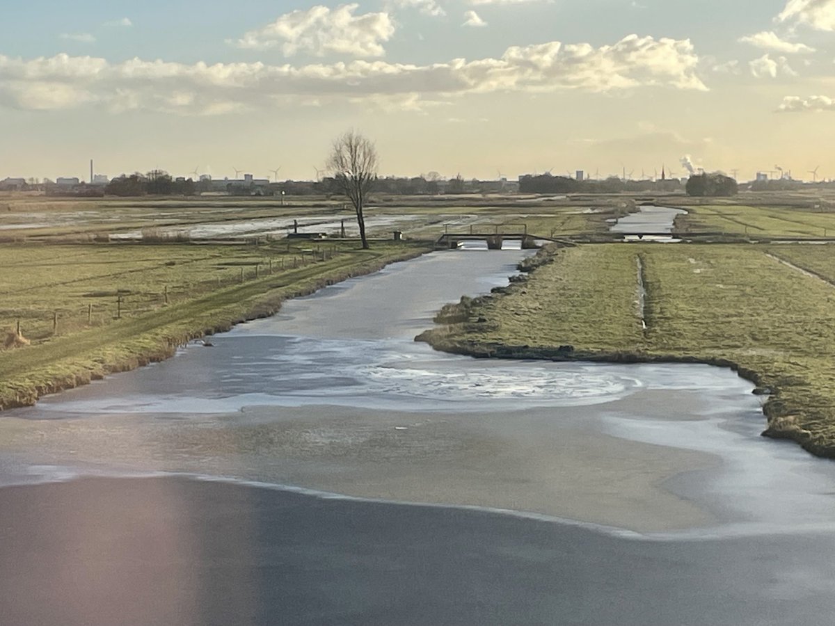 chriszeeven's tweet image. Het Wormer- en Jisperveld vanuit het badkamer raam. Het #Natura2000 gebied is 2000 ha groot waarvan ruim 600 bij @Natuurmonument. 500 ha is water. Vanaf 1000 na Chr. Is er vee gehouden voor kaas, boter en melk. Zorg(en) voor #weidevogels.