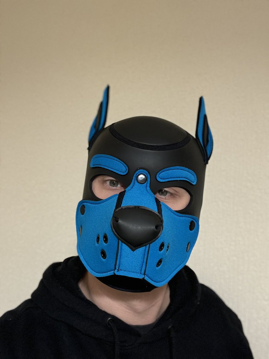 AxelHusky_'s tweet photo. A puppy has jumped onto your time line… what do you do? 

#newhood #pupplay #gay https://t.co/mRE4Jy6cKD
