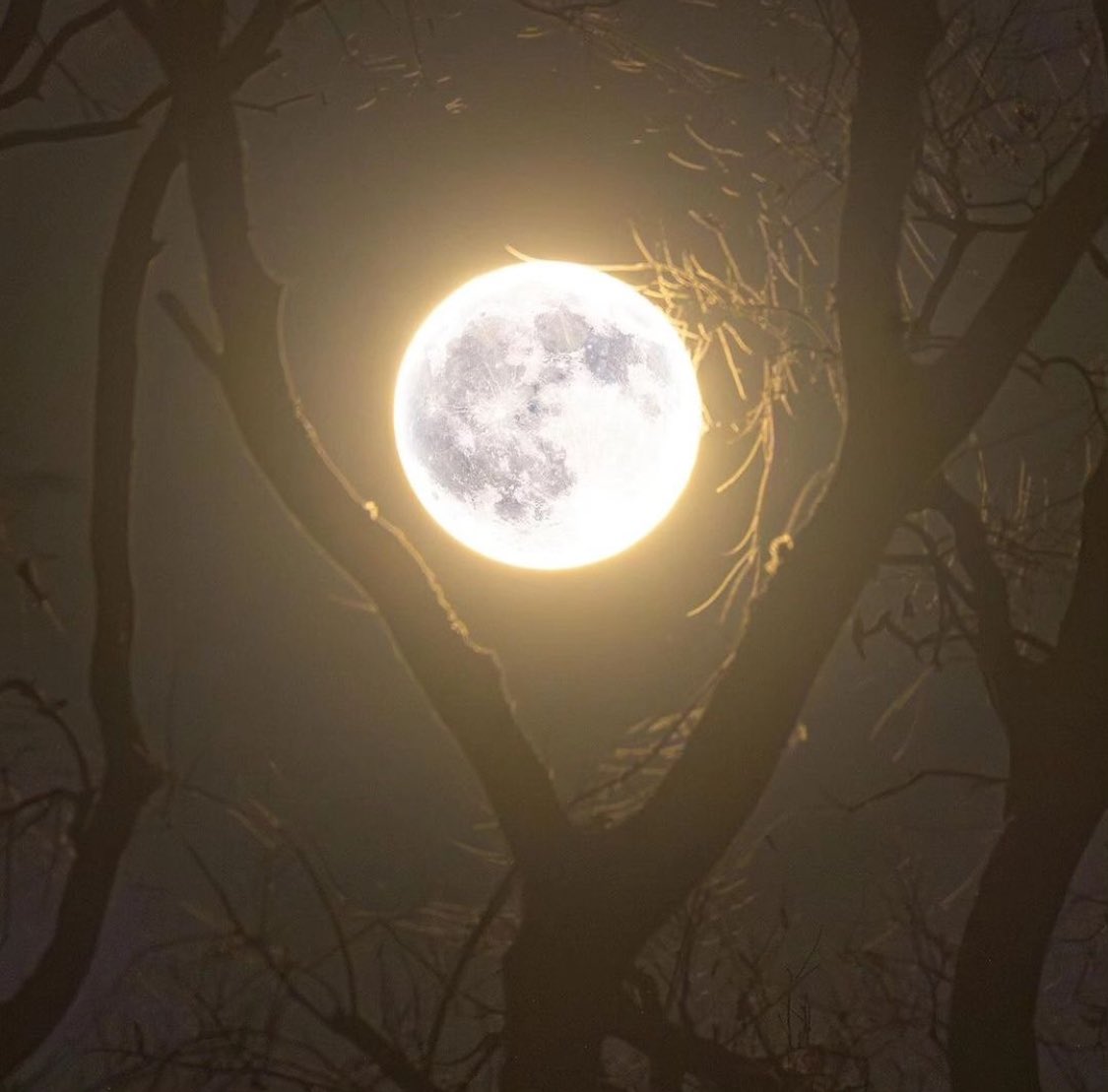 M1ONLOVER's tweet photo. Moon Lover https://t.co/jQ2NAB60m9