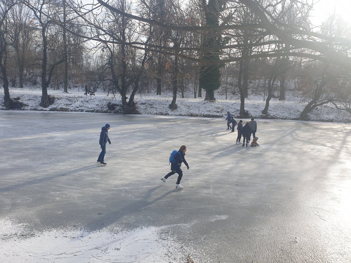 KDomaci's tweet photo. Toť skvělý rumrajch week 2.
#bordercolie
#stromovka https://t.co/DFs2bciVC8