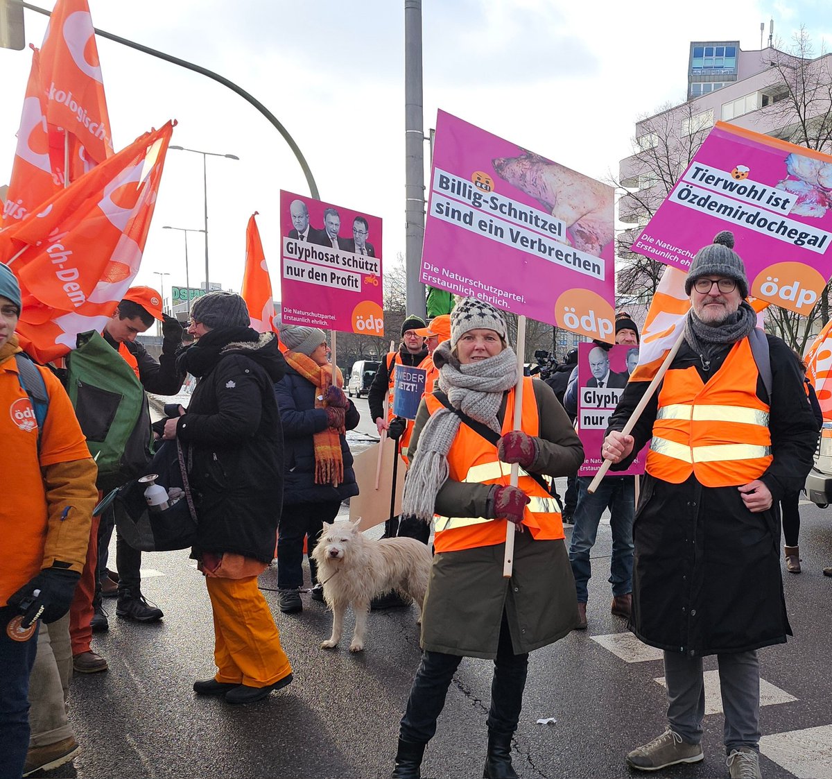 oedp_landshut's tweet photo. #WHES24
🌱🥔🏵️🐝 Zusammen mit 8000 Menschen aus ökologischer Landwirtschaft, Tierschutz, Ernährung Naturschutz und Klimabewegung waren wir in Berlin auf der Straße, um für Höfe und Klima für eine sozial und umweltgerechte #Argrarwende zu demonstrieren.
#GutesEssenFuerAlle https://t.co/uKaqINTE6b