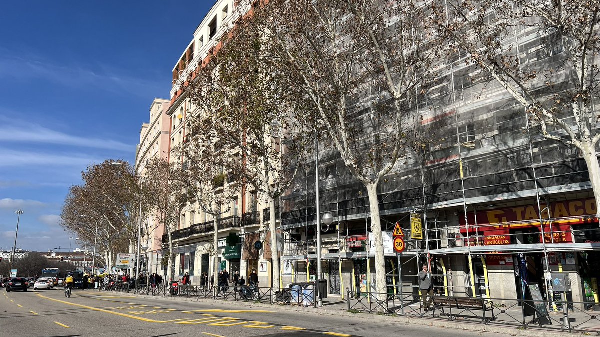 MasMadridCiudad's tweet photo. NO A LA TALA 🪓

Queremos frenar la obsesión de Almeida por acabar con los árboles. Está poniendo en peligro el Paisaje de la Luz.

Apoyamos a los vecinos y vecinas que quieren conservar los más de 70 árboles del Paseo de Infanta Isabel y el Jardín Jimena Quirós. https://t.co/1k8MFtX4yp