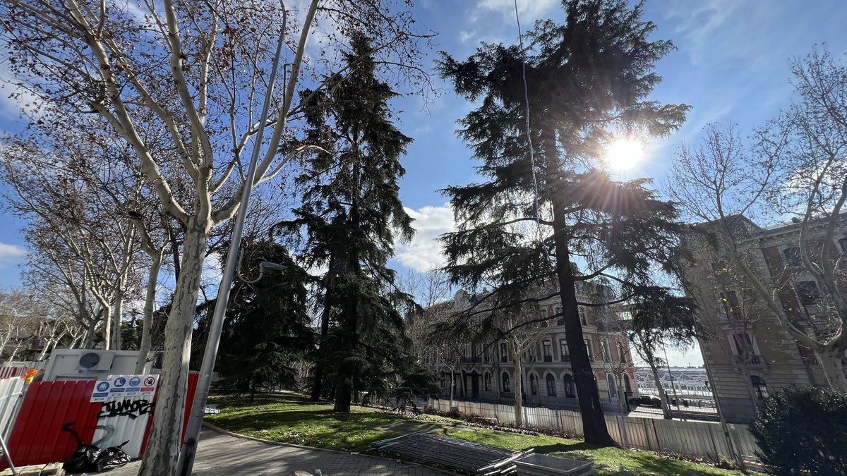 MasMadridCiudad's tweet photo. NO A LA TALA 🪓

Queremos frenar la obsesión de Almeida por acabar con los árboles. Está poniendo en peligro el Paisaje de la Luz.

Apoyamos a los vecinos y vecinas que quieren conservar los más de 70 árboles del Paseo de Infanta Isabel y el Jardín Jimena Quirós. https://t.co/1k8MFtX4yp