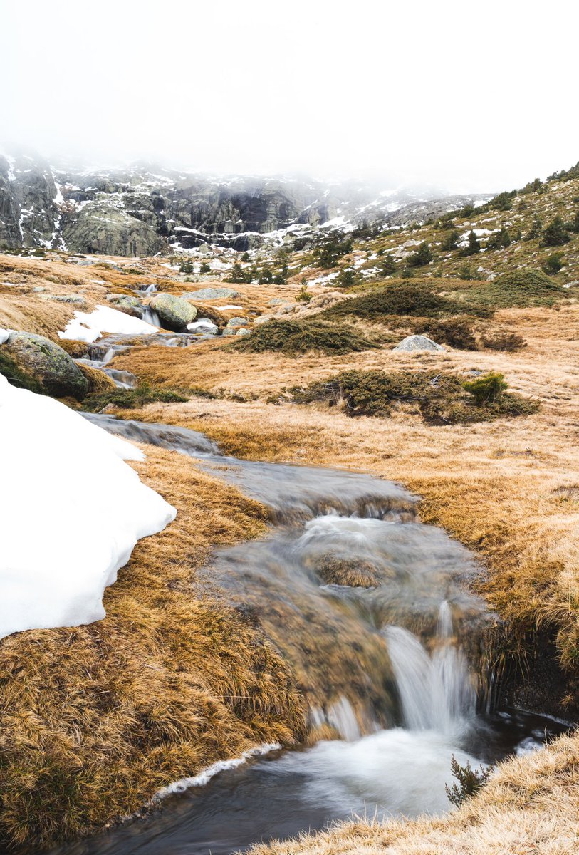 _aaron_lpz_'s tweet photo. Colores y texturas de la Sierra de Guadarrama 🌊🌲❄️💛 https://t.co/Bsl7zP3krg