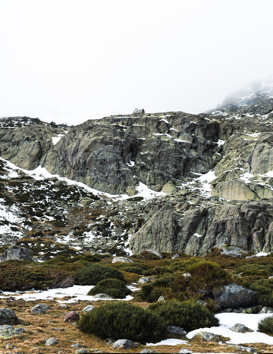 _aaron_lpz_'s tweet photo. Colores y texturas de la Sierra de Guadarrama 🌊🌲❄️💛 https://t.co/Bsl7zP3krg