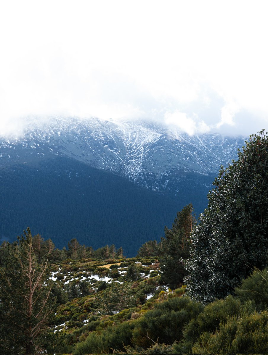 _aaron_lpz_'s tweet photo. Colores y texturas de la Sierra de Guadarrama 🌊🌲❄️💛 https://t.co/Bsl7zP3krg