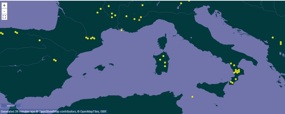 Seguim amb 🔎CETRARIA MURICATA. Família: Parmeliaceae. Tipus: fruticulós, marró fosc, lluent, amb espínules i pseudocifel·les. Reproducció: fragmentació del tal·lus. Ecologia: sòls minerals, exposats. Distribució: de boreal a les muntanyes mediterrànies liquensdecatalunya.blogspot.com/2024/01/cetrar…