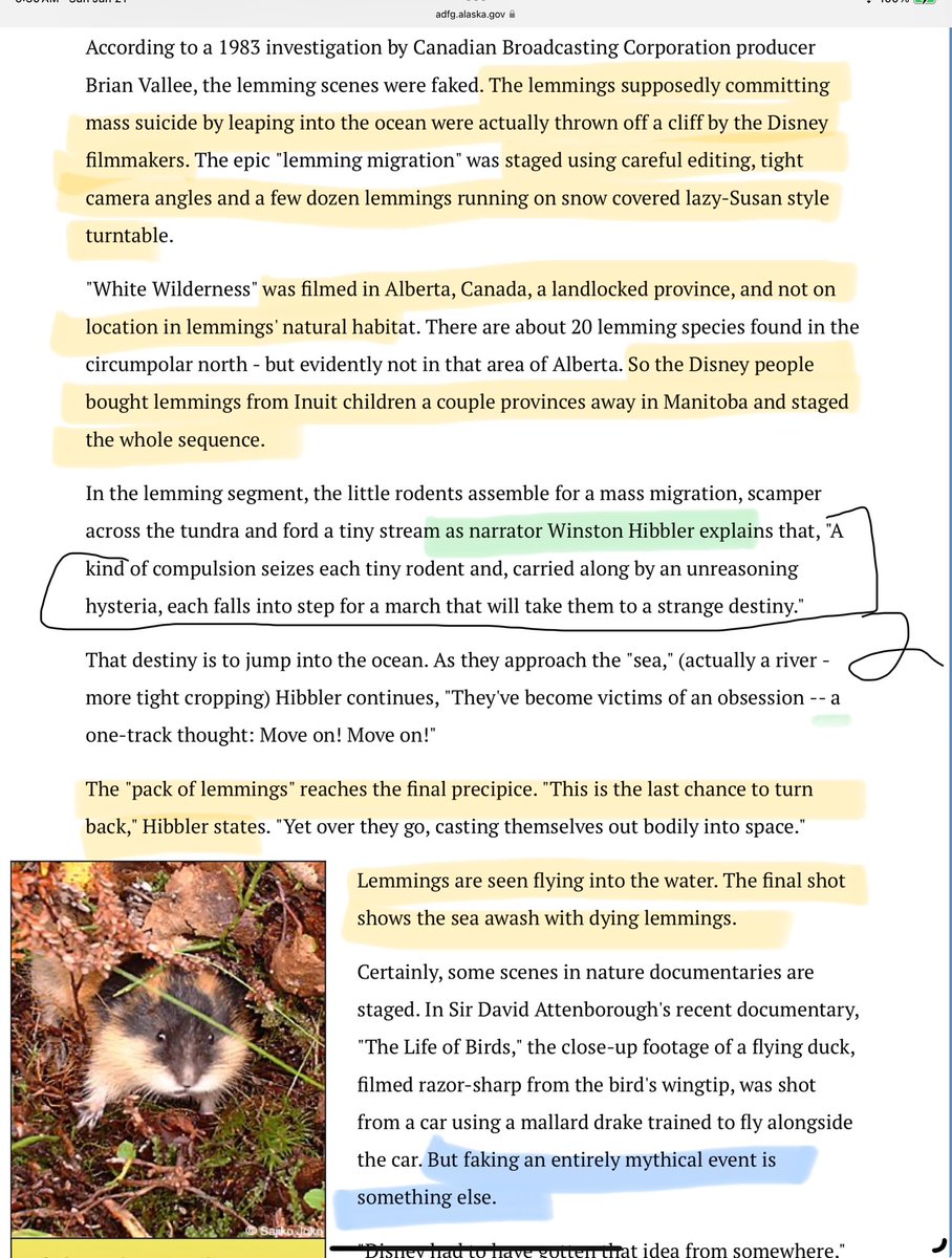 LetUsGetHonest's tweet image. 2/
(“Why is she talking about lemmings and WaltDisney when the context is #familycourtscandal, #SocialImpactFunding (this thread I found) #SirBaronCohen and who had been promoting #CoerciveControl in a big way (#EngenderedCollective) and which media platforms — and behind that,