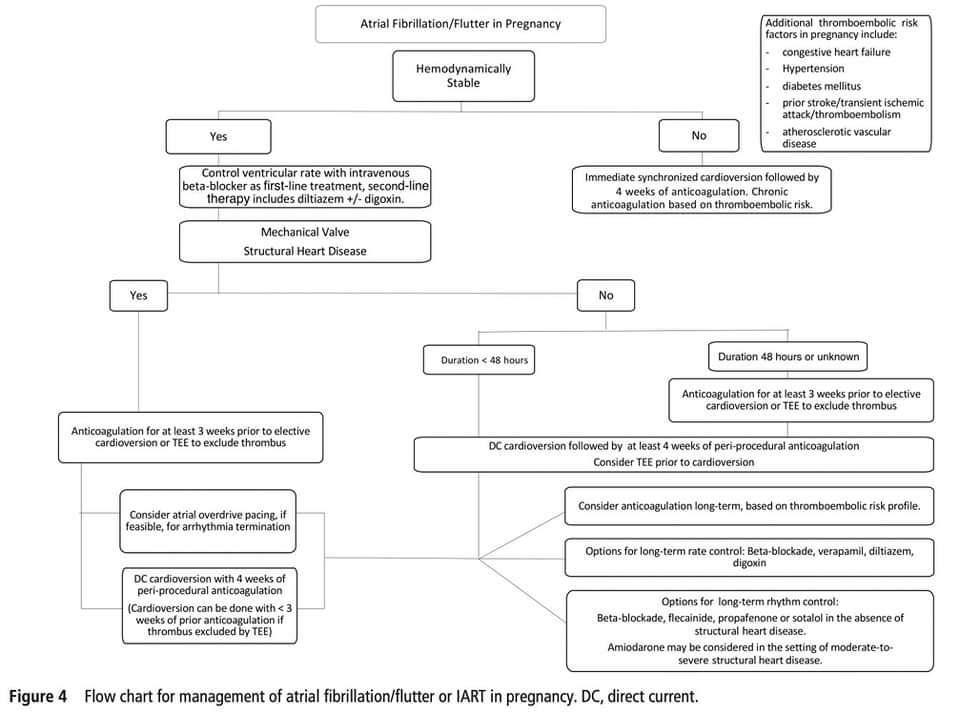 ZHeart11768530's tweet photo. 💥Management of #arrhythmias during #pregnancy
https://t.co/Sq4BOj0noB
#CardioTwitter #CardioEd #CardioObstetrics #CardioObs https://t.co/wdjtoVw3vG