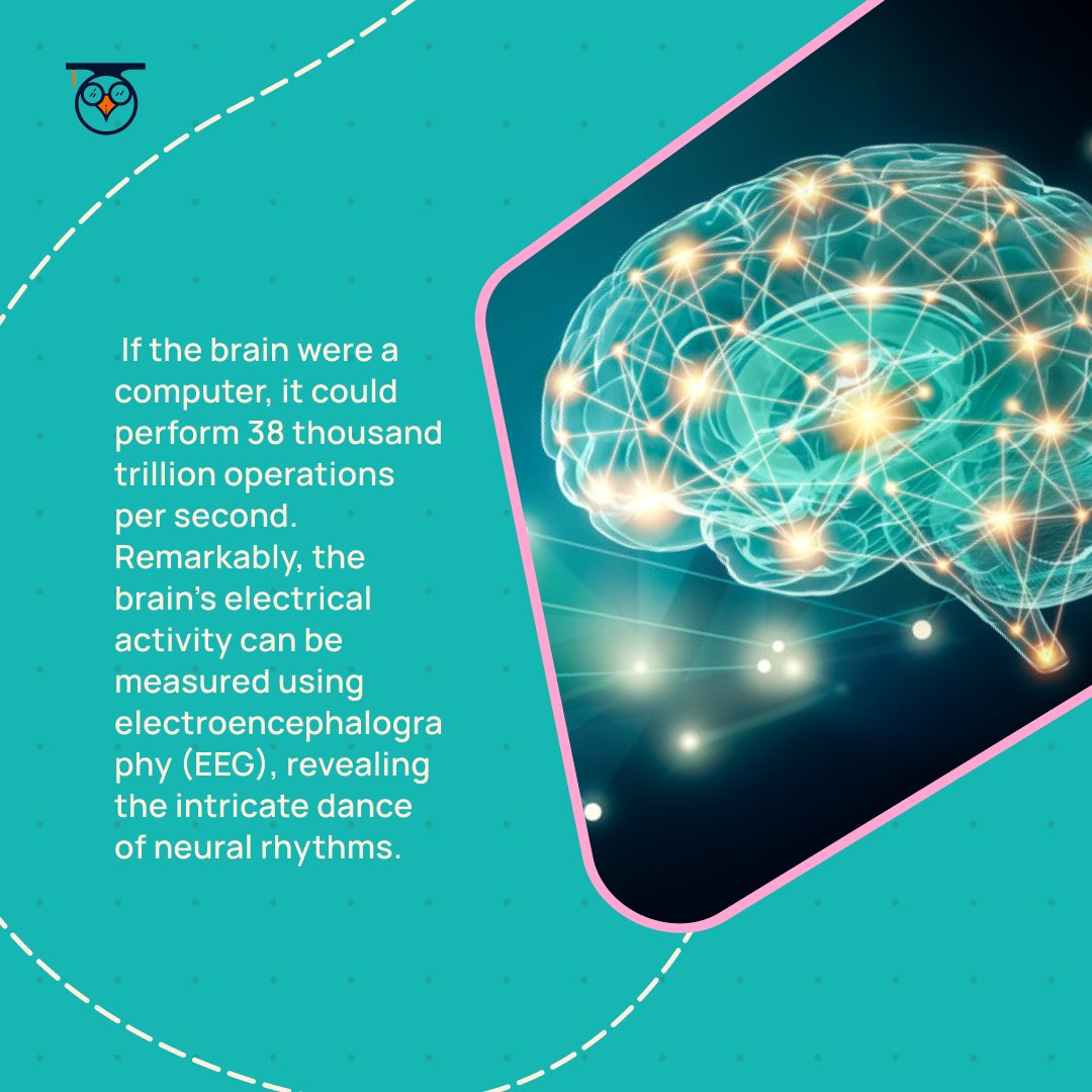 TheTechnothlon's tweet image. ⚡💭 Did You Know? The human brain, at a mere three pounds, is a powerhouse generating 20 watts of electrical power—equivalent to a dim light bulb. Ready to be awestruck?Discover the silent dynamo within your skull! 🧠💫
#techno #technothlon2024 #techniche24 #iitg