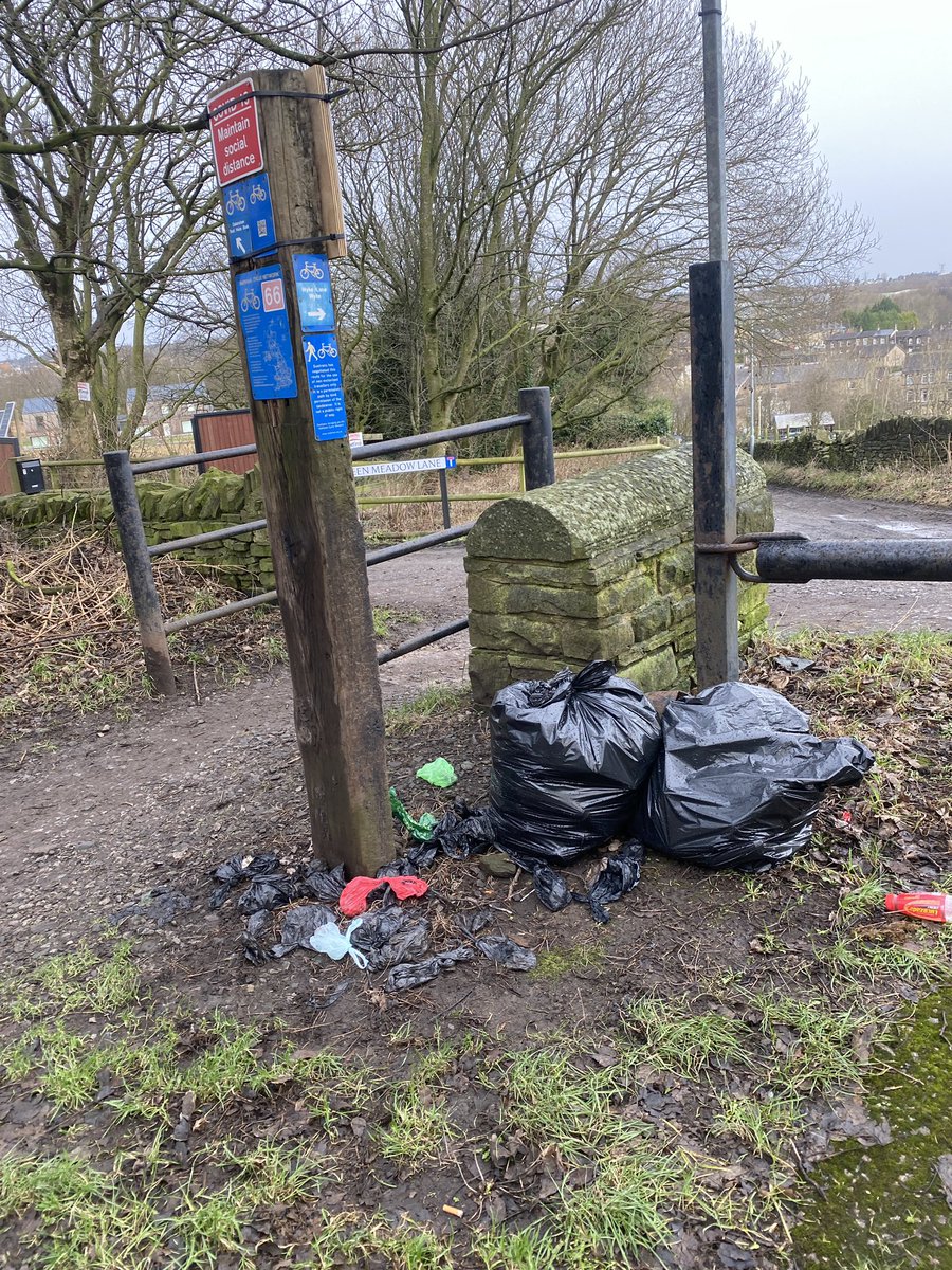 carolineking76's tweet photo. @bradfordmdc please could you maybe reallocate the bins in bd12. So there are x9 bins in Victoria park! but non elsewhere please could we maybe have one on the greenway at green lane, or maybe one at toad holes nature reserve, or by the station? I see this everyday!!! https://t.co/u0QwXbTELR