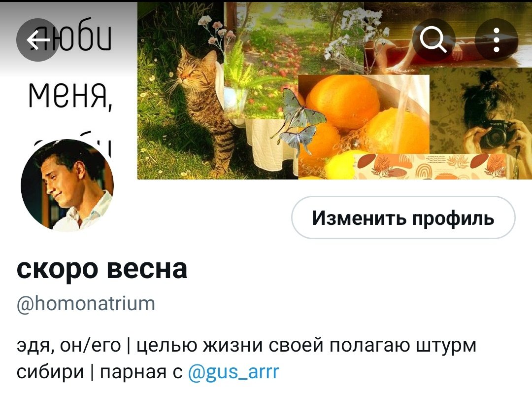 homonatrium's tweet photo. ой ну на всякий случай скажу что было/стало

лучшая идея в вашей жизни — потерять этот профиль https://t.co/0hu4HG7xNY