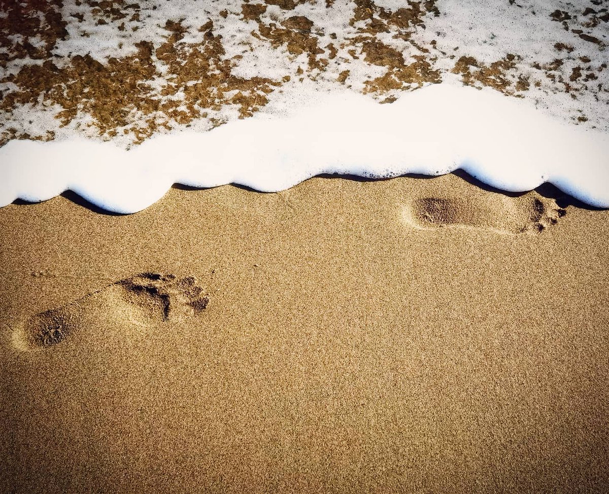 📌Shanklin Beach
📷@the_clifton_iow
#visitengland #visitisleofwight #exploreisleofwight #beautiful #islandlife #greatphoto #sand #beach #sea #seaside #coast #walk #wintersun #gorgeous #walkies #footprints #story #cliffs #calm