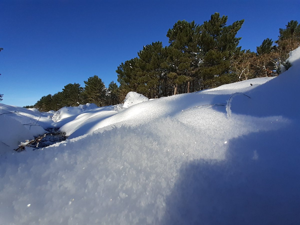 Juan (@cazaoutdoor) on Twitter photo 