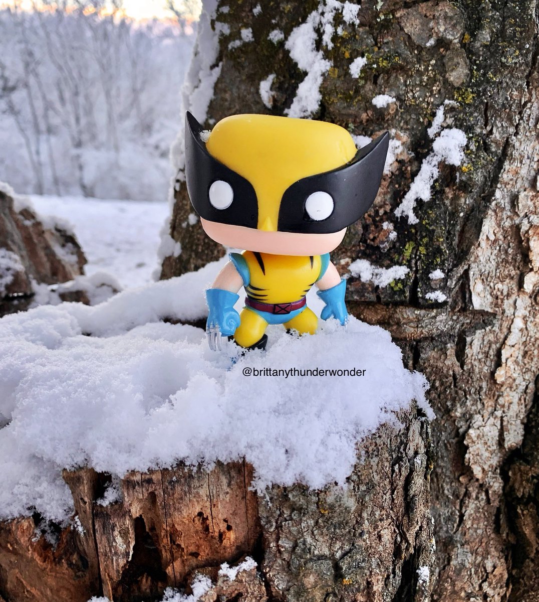 ❄️Wolverine❄️ #Wolverine #XMen #FunkoPhotography #FunkoPhotoADay #FunkoLife #Marvel #Snow #FunkoPop #OriginalFunko #Logan #FunkoPhoto #Funko #Funkos #SnowDay #Snowing