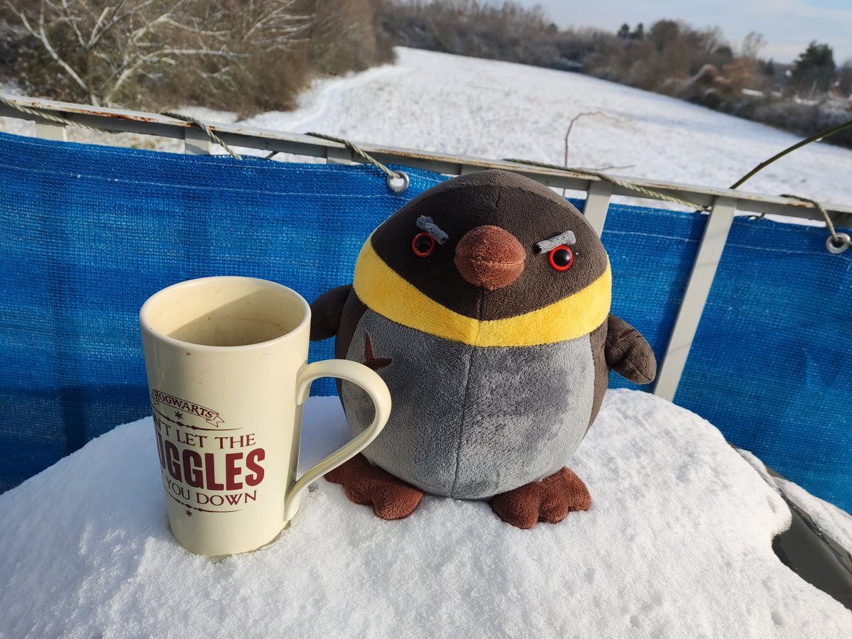 Sandra121289's tweet photo. @AgeOfWonders4 @yaroat @SaraSanAgustnG1 @gatsu083 @zombipuppy @pappaxray @TAB_0x @SDragon35652557 Aristotle the Penguin arrived safely in Darmstadt and enjoys the cold weather on our terrace. Of course with a coffee, while making plans about world domination^^ https://t.co/OuqZ684zyg