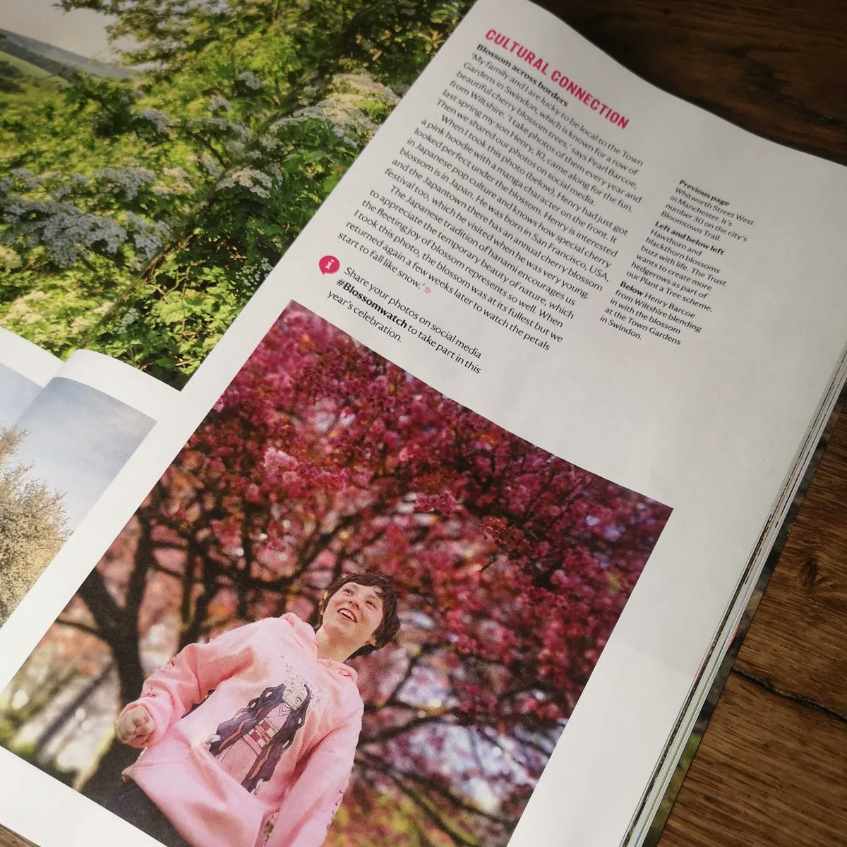 OhSoOBoHo's tweet photo. Henry and our beautiful blossom trees are in the Spring edition of @nationaltrust magazine 🌸
@TheCroftPrimary https://t.co/zzCJp3LmDd