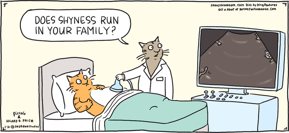 Here kitty kitties! @RinaPiccolo <a href="/ComicsKingdom/">Comics Kingdom</a> #SundayFunday