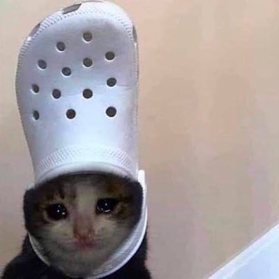 crocthecat's tweet photo. $croc up https://t.co/KgKrHd4NWJ