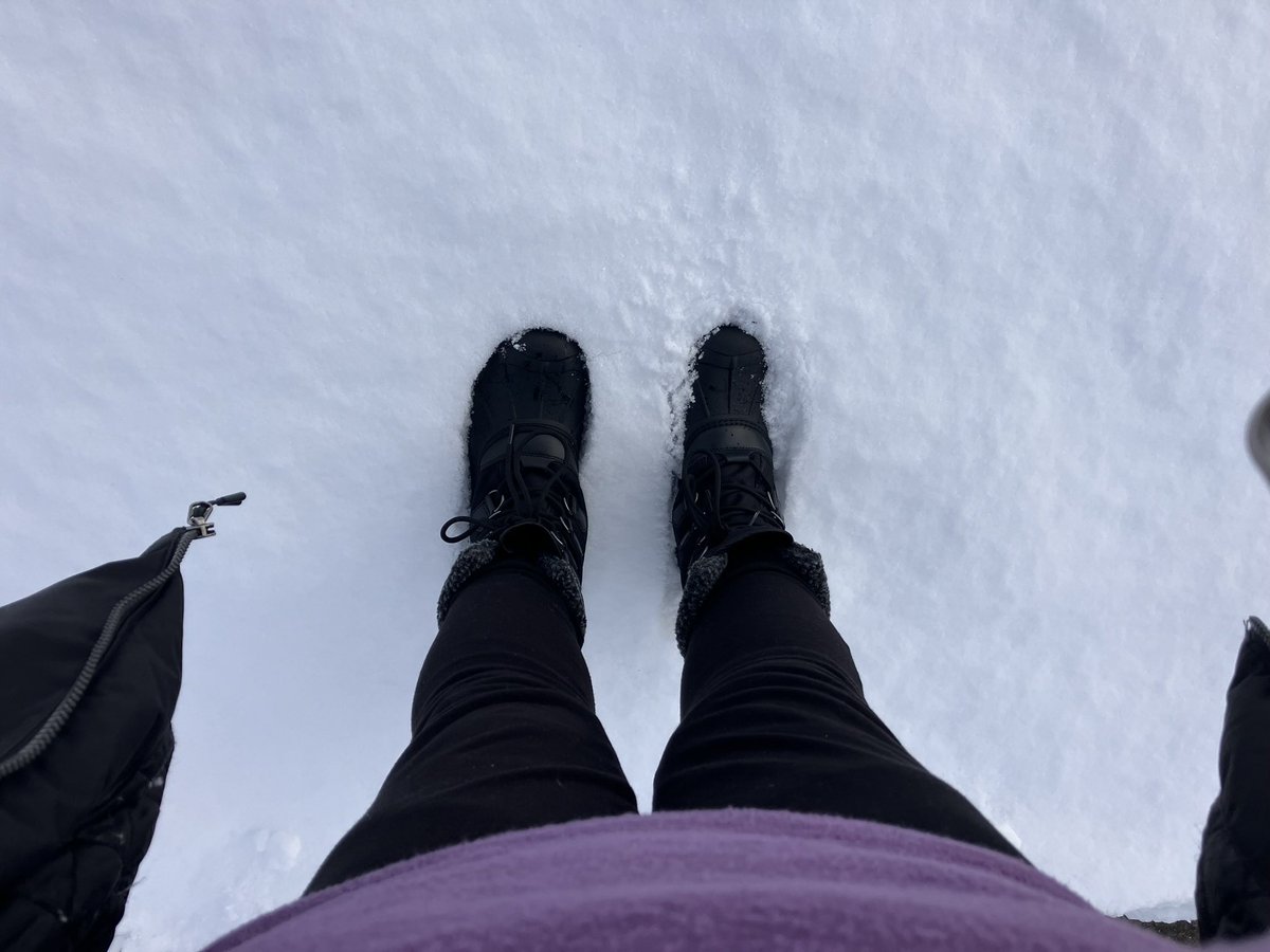 SoCorageous's tweet photo. This week is giving HIBERNATION 🥶 https://t.co/chaBFRlvrJ