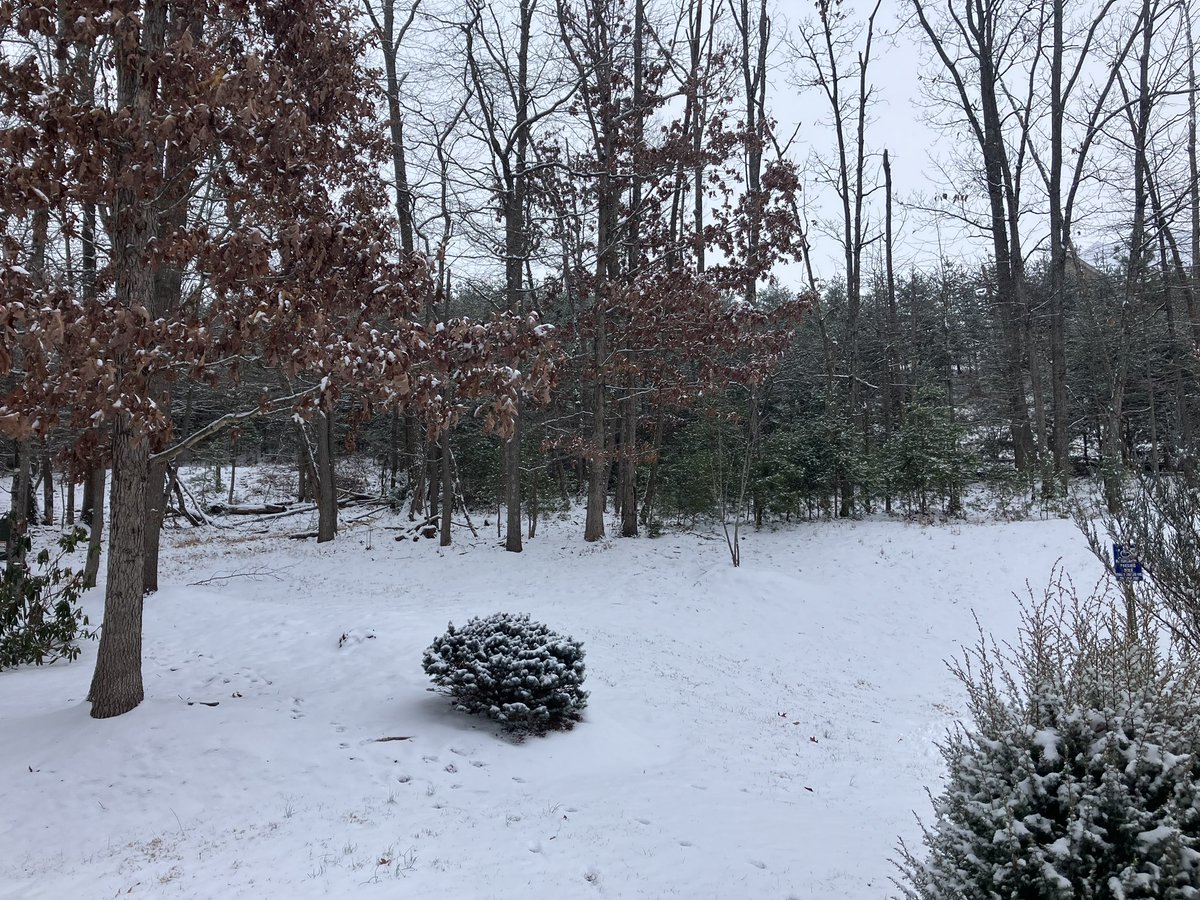 SoCorageous's tweet photo. This week is giving HIBERNATION 🥶 https://t.co/chaBFRlvrJ
