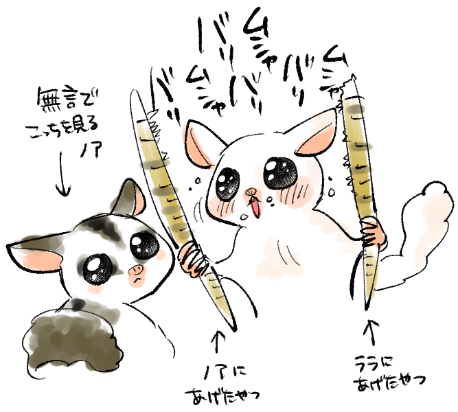 最近のうちのモモンガたち毎回こう 
ホワイトフェイス:ノア(先住モモ♀) 
リューシ:ララ(♀) 