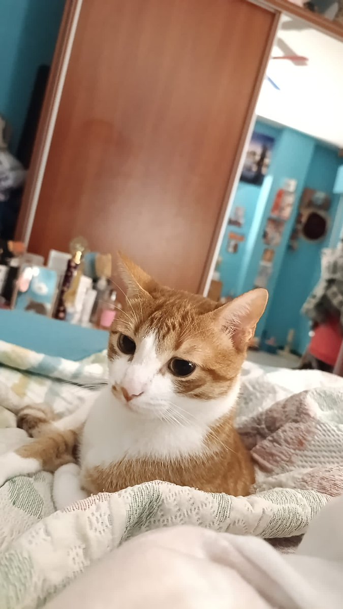 n 󠁯󠁯• d s a m tweet media