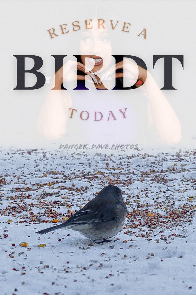 DangerDavePhoto's tweet photo. Disclaimer I did not in any way shape or form take the photo of Cardi B. I donβt even endorse her music butβ¦ wellβ¦. Things got weird and things happened ππΈπ¦
#photography #birdphotography #cardib #cardibfans #cardibmemes #kcco #naturephotography #outdoors #photographer https://t.co/U6BWdAoP5O