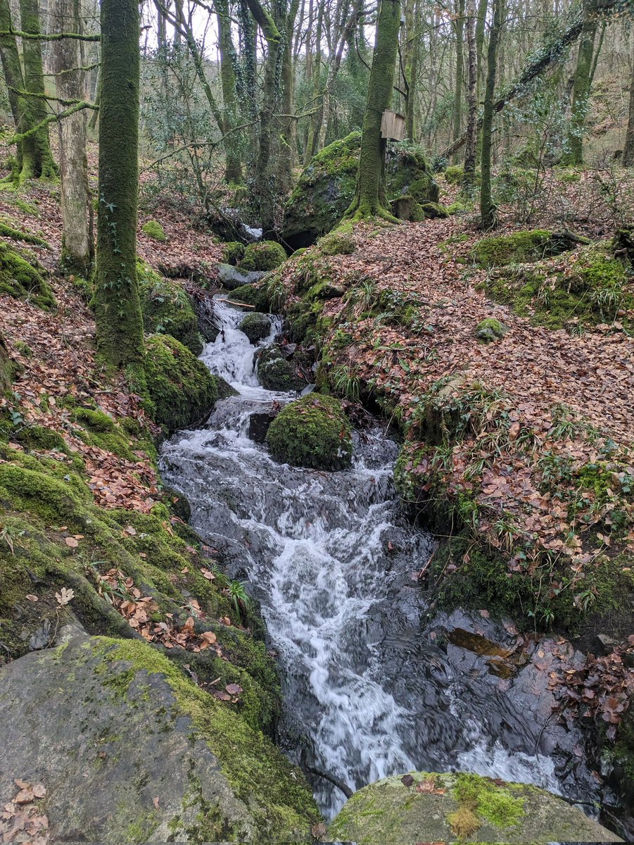 2 hour walk around Fingle Bridge yesterday afternoon ❄️