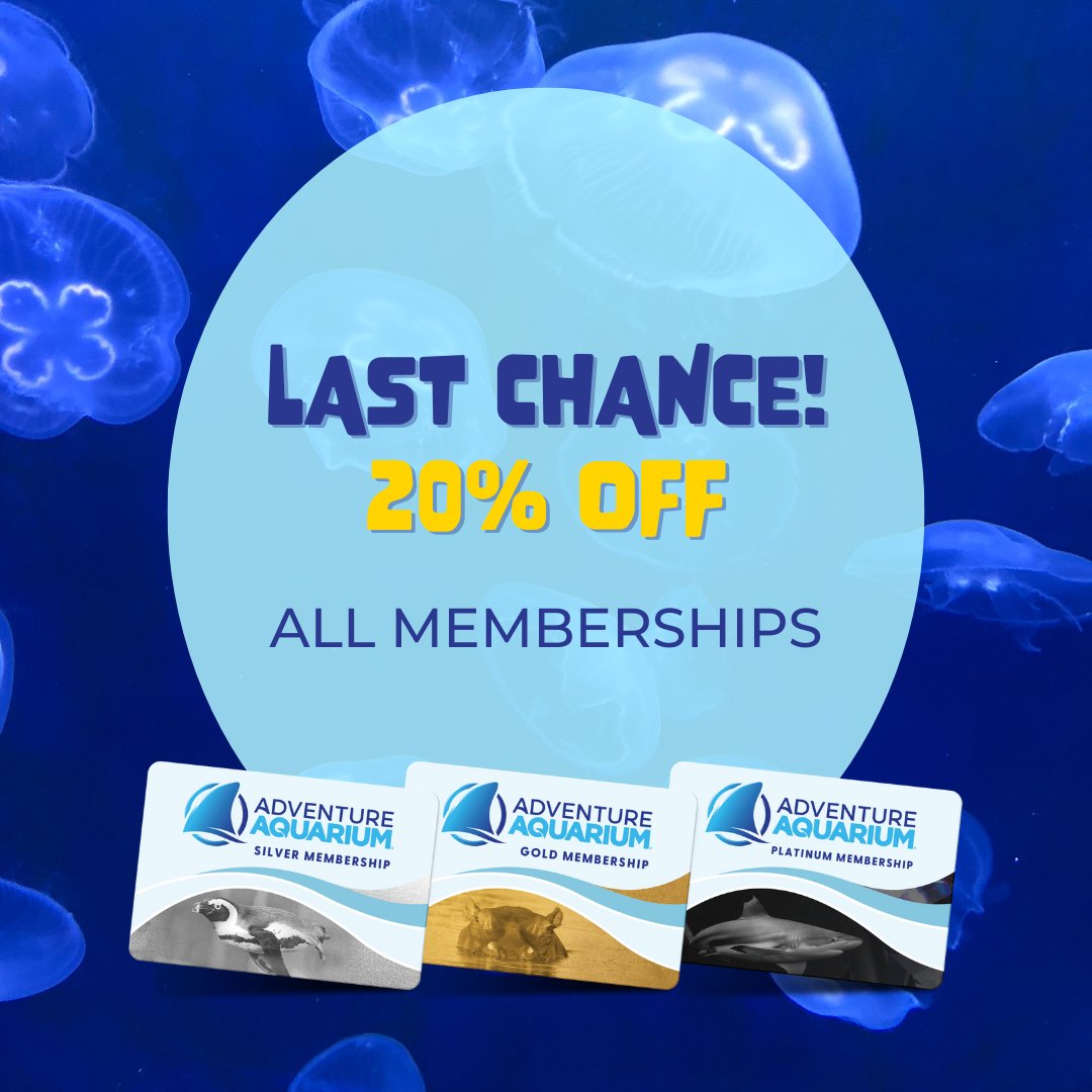 Don't miss out...the best Membership deal of the year ends TONIGHT! 

This is your last chance to get 20% off Membership, which gives you year-round access to explore more than 15,000 aquatic animals. 

Become a member today (bit.ly/3XLic2X)!