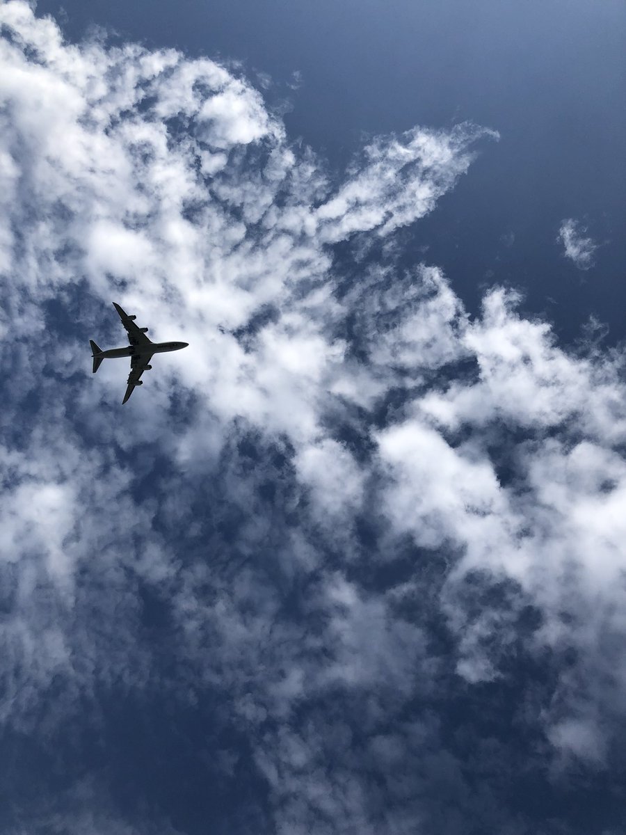 QQ (@linpoza) on Twitter photo 