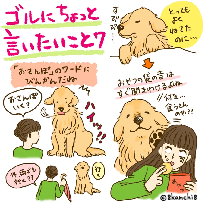 ゴルにちょっと言いたいこと7🍮

#ゴールデンレトリバー
#犬のイラスト 