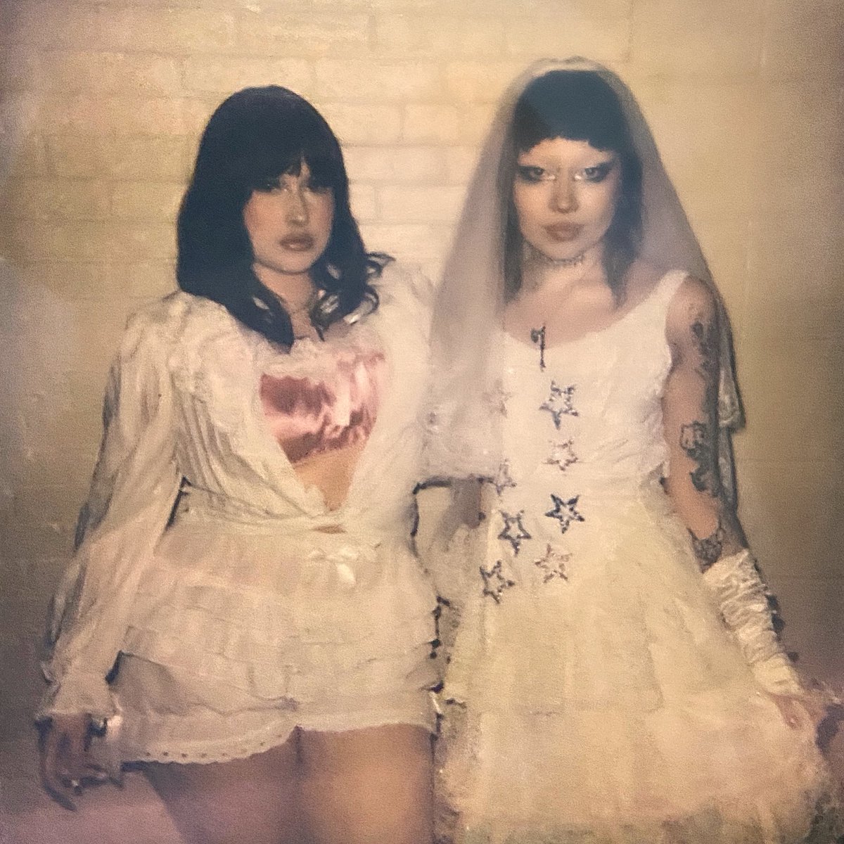 SaiLoveCats's tweet photo. new pfp/banner pic from @lucyloone <3 

#lucyloone #lucy #Loone #jazmin #bean #jazminbean #fyp #viral https://t.co/YVUOvEA25M