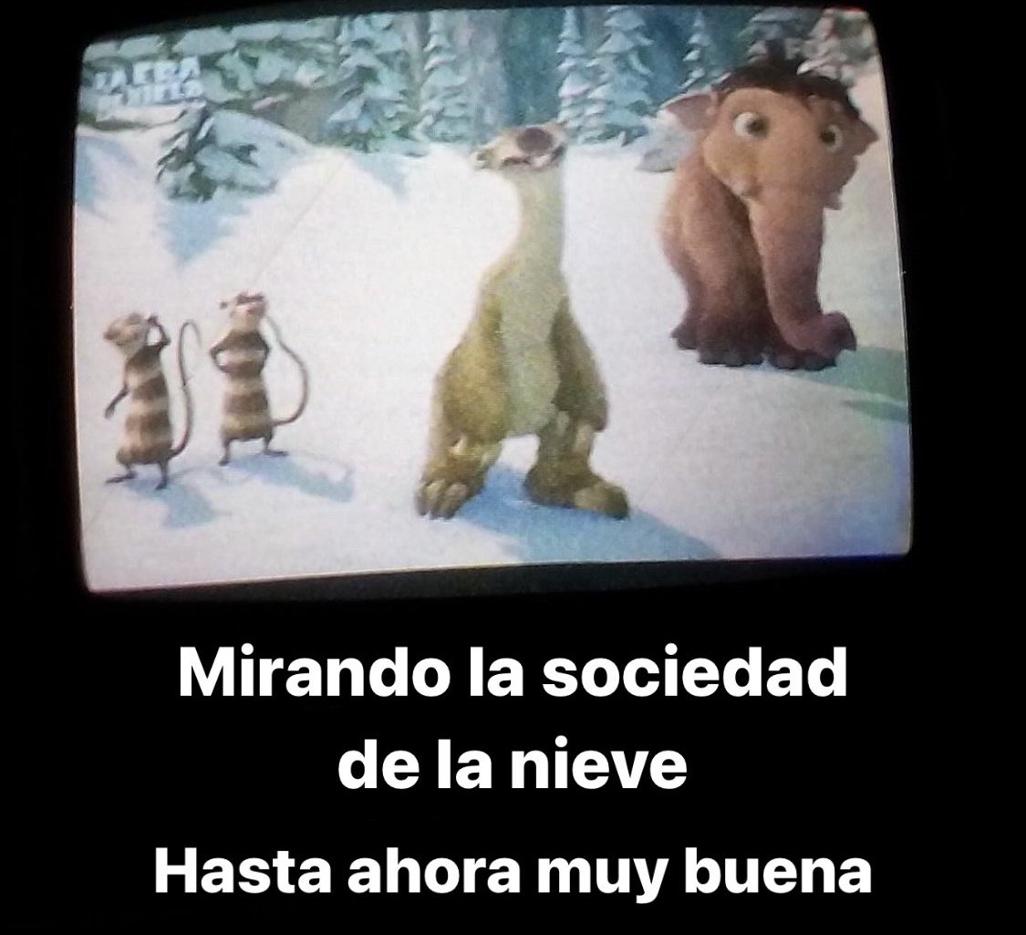 cojonudo (@perromandarinas) on Twitter photo 