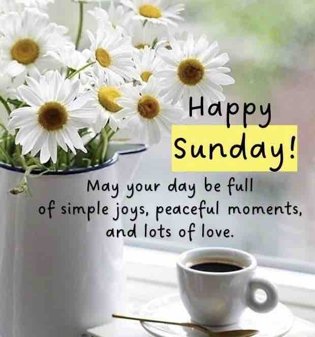 Have a blessed Sunday!!!

#Sundayencouragement #goodmorning #globelifelifestyle #McDanielAgencies