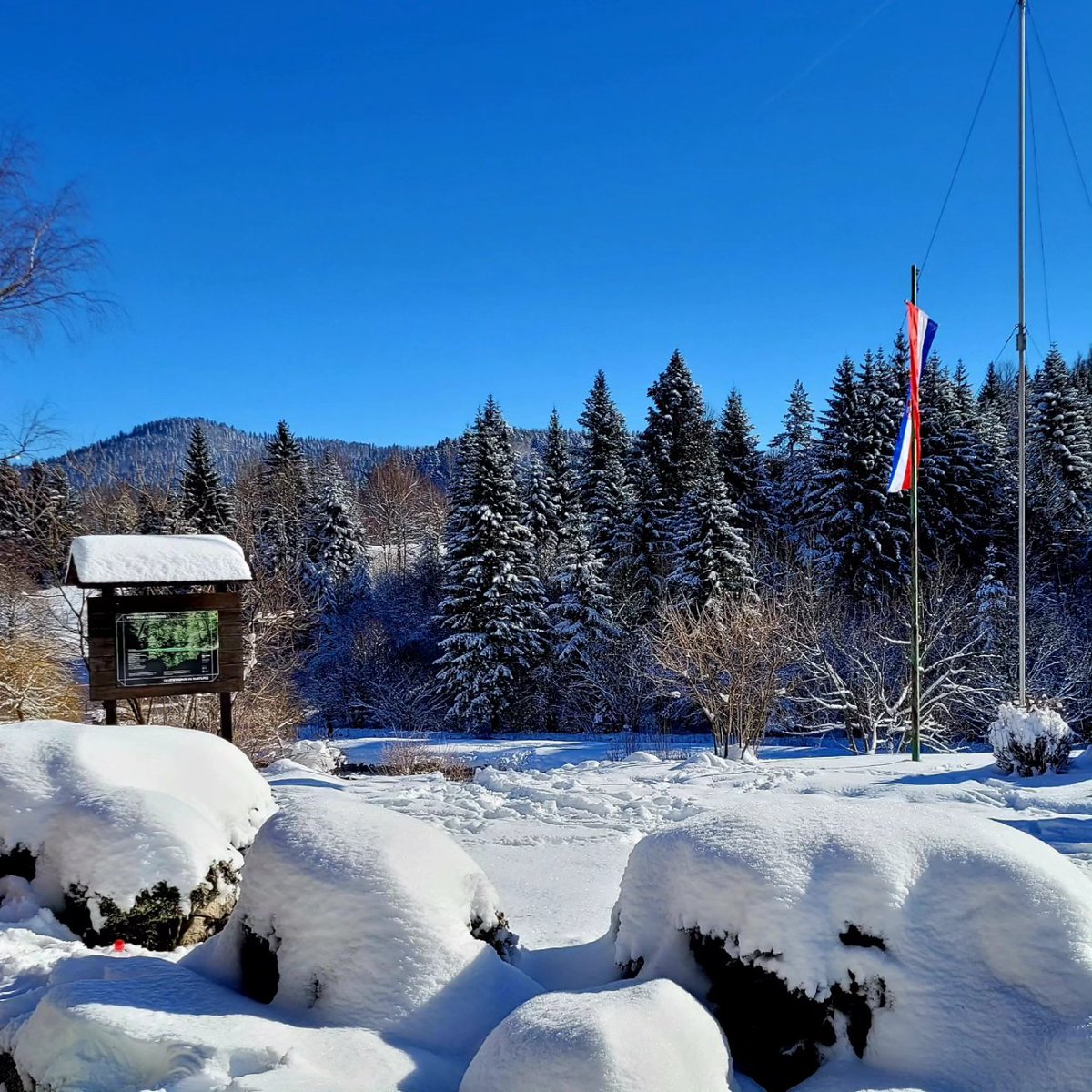 SekulaO's tweet photo. Svi na Platak, mi na Risnjak❄️ https://t.co/VXI5d26rWf