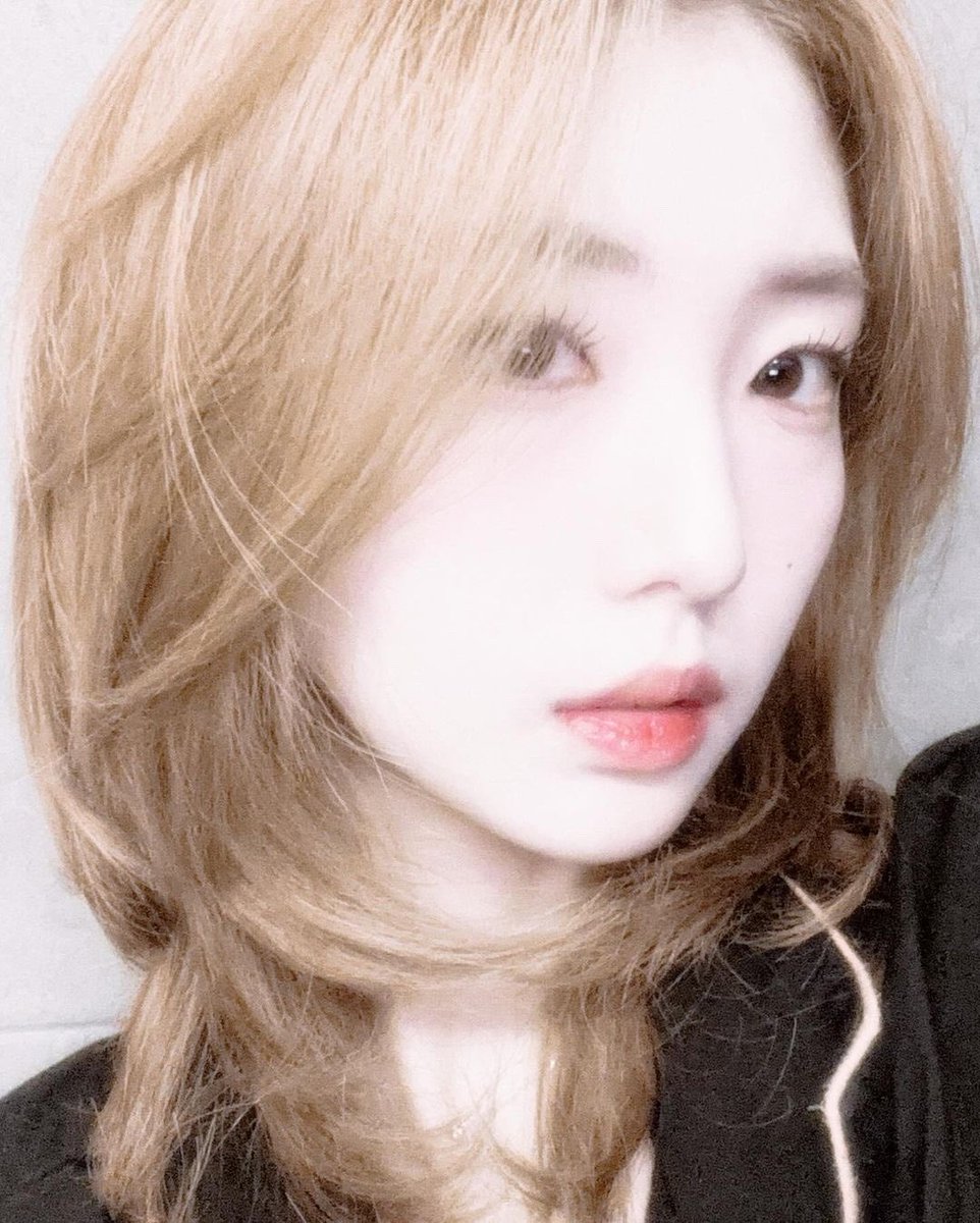 Evelyn (@blueberriess_x) on Twitter photo 