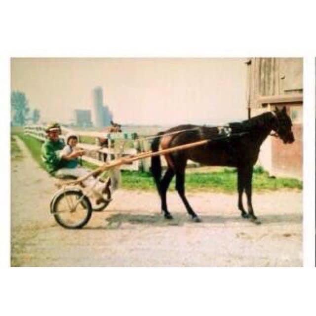 𝐁 𝐑 𝐎 𝐎 𝐊 𝐄 tweet media