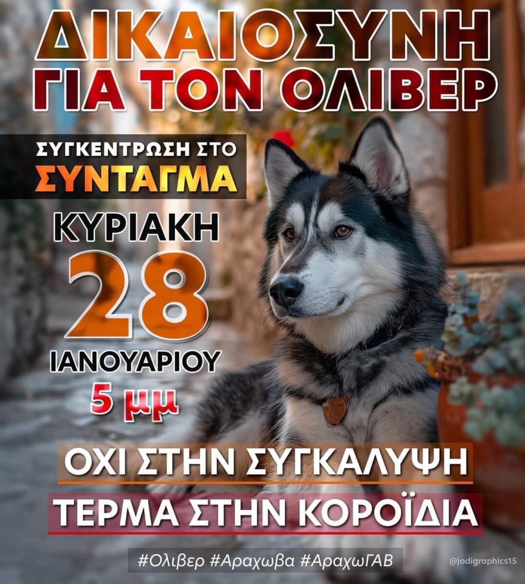 _SimonLeone's tweet photo. Καλό βράδυ ρε Αλήτες ...

Μην ξεχνάμε 

#Ολιβερ https://t.co/lQ5KuzPDcf
