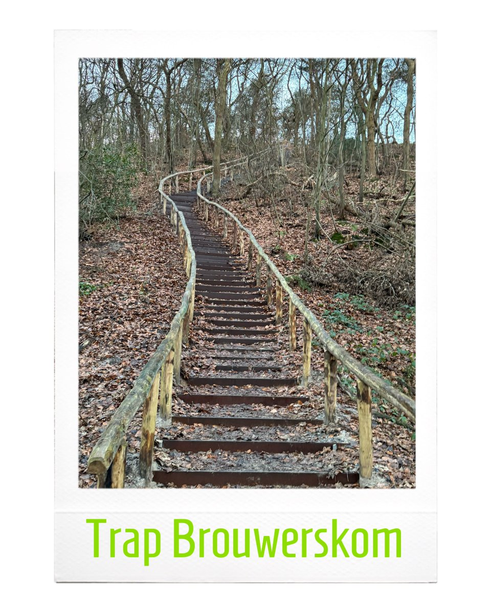 De trap bij de Brouwerskom is weer open! Dankzij donateurs!🙏🏻🍀 de geldinzamelingsactie ism <a href="/buitenfonds/">Buitenfonds</a> werd in 2023, afgerond. De donateurs hebben vandaag een mail gehad ivm de naamplaatjes. 21 maart gaan we de trap officieel openen. #schoorlseduinen #schoorl #staatsbosbeheer