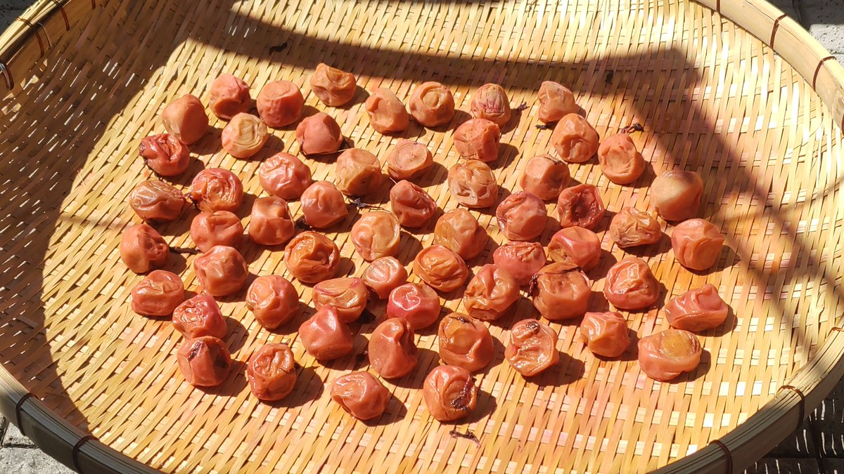 Hoshitaro tweet media