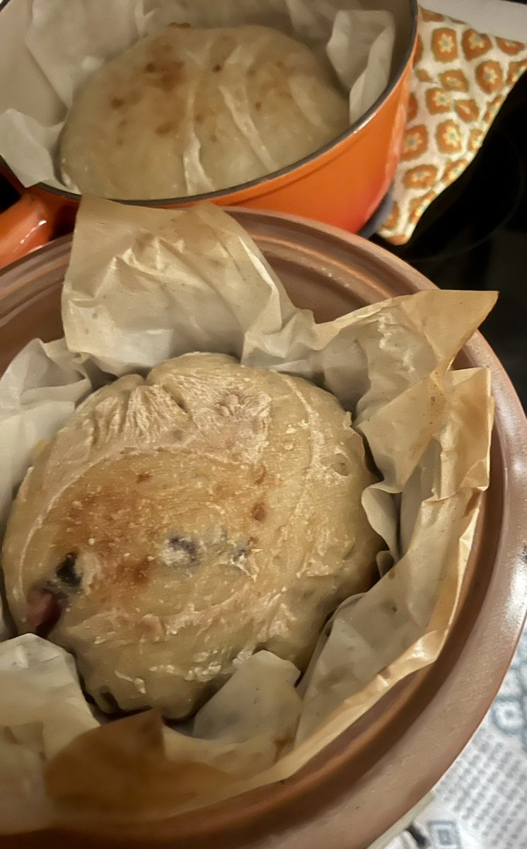 SendSunflowers's tweet image. Who has made sourdough from a starter? It is a ton of work to get going! 

In honor of my beloved Chiefs, and the first ever baked breads (basic loaf and a lemon blueberry) made with love from my starter,  named Patrick Madoughmes. 

#homemade #sourdough #letsgoCHIEFS
