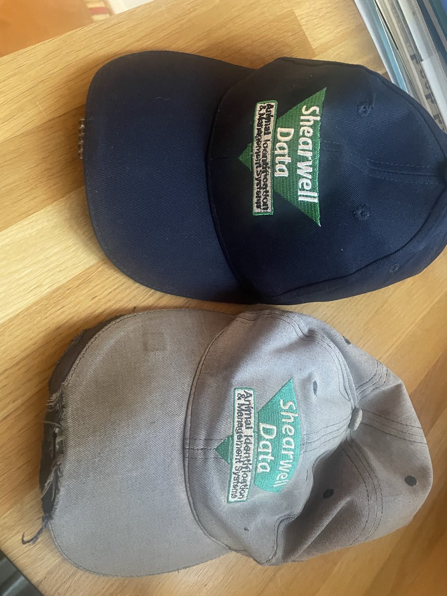 Exe Valley Lamb tweet media