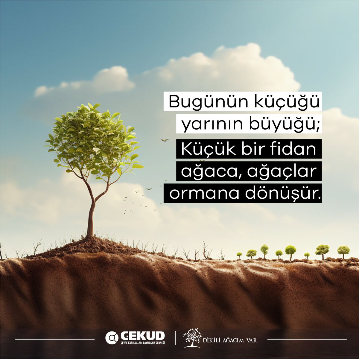 Tek bir fidan ile ne mi olur? 🌱
Kocaman bir orman. 🌳🌲🌴

#climate #mindfulness #creativity #leadership #innovation #management #motivation #tips #productivity #project #environment #enronmental #greenworld #solutions #eco #climatechange #power #denizkirliliği #fidan…